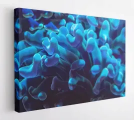 obraz-na-plotnie-100x75-m2p-ocean-14-canvas-wzory