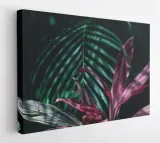 obraz-na-plotnie-100x75-m2p-rosliny-17-canvas