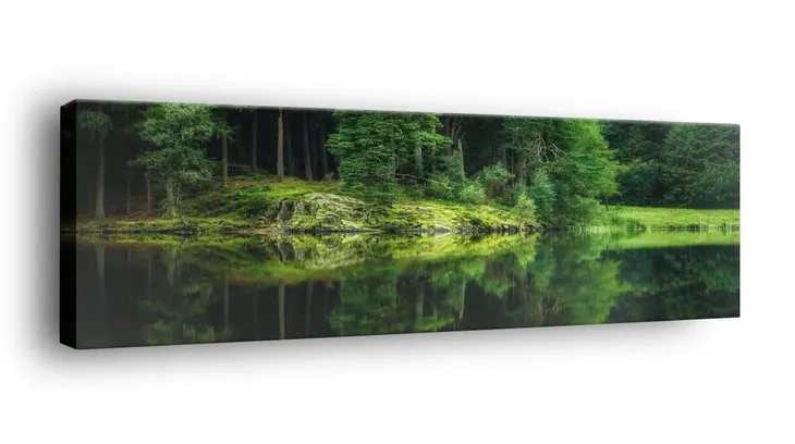obraz-na-plotnie-145x45-m2p-las-05-canvas-wzory