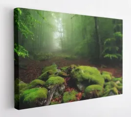 obraz-na-plotnie-100x75-m2p-las-07-canvas-wzory