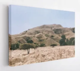 obraz-na-plotnie-100x75-m2p-sawanna-20-canvas