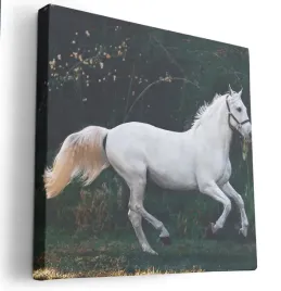 obraz-na-plotnie-80x80-m2p-konie-03-canvas-wzory