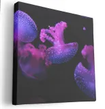 obraz-na-plotnie-40x40-m2p-ocean-20-canvas-wzory