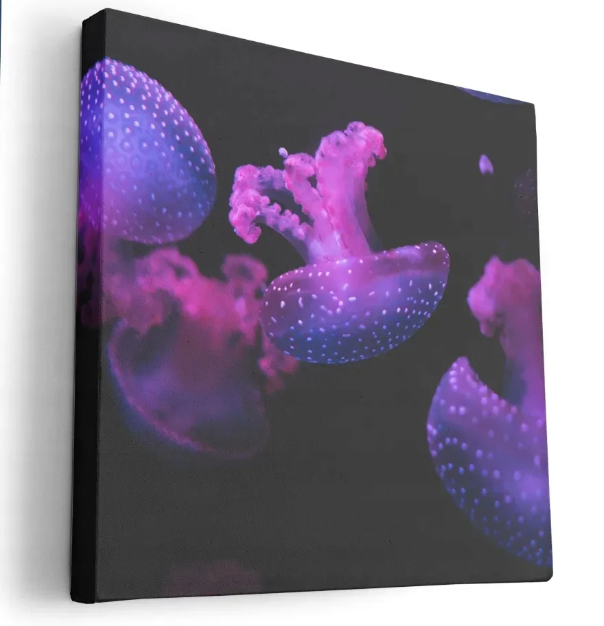 obraz-na-plotnie-40x40-m2p-ocean-20-canvas-wzory