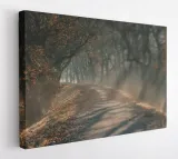 obraz-na-plotnie-60x40m2p-las-08-canvas-wzory