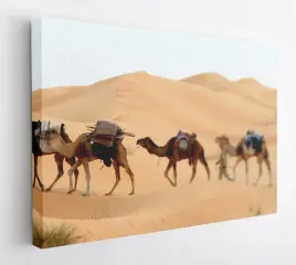 obraz-na-plotnie-100x75-m2p-pustynia-16-canvas