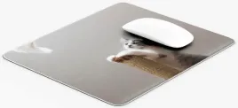 podkladka-pod-mysz-245x19-pdm-kotypsy8-gaming