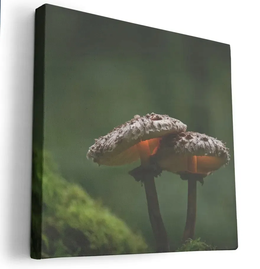 obraz-na-plotnie-80x80-m2p-las-11-canvas-wzory