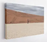 obraz-na-plotnie-100x75-m2p-pustynia-18-canvas