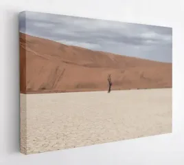 obraz-na-plotnie-100x75-m2p-pustynia-18-canvas