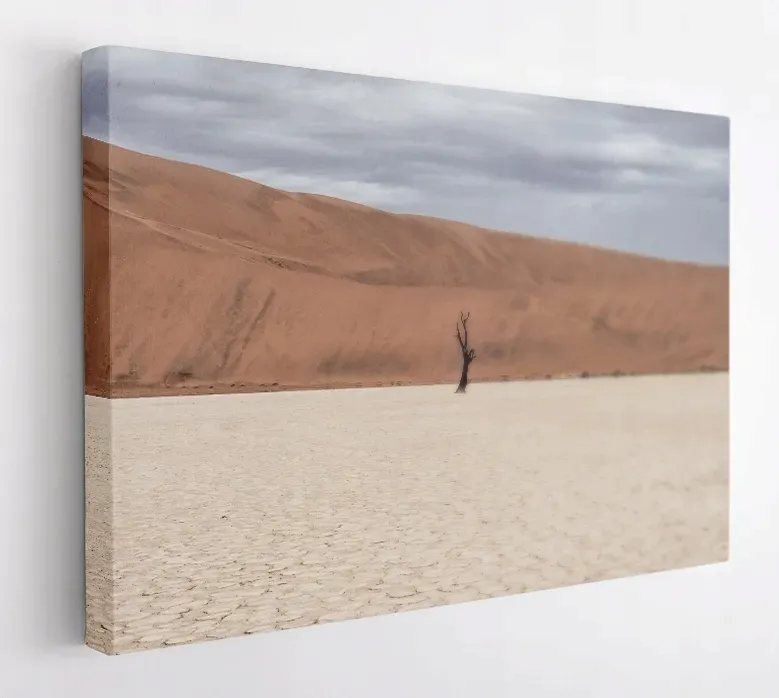 obraz-na-plotnie-100x75-m2p-pustynia-18-canvas