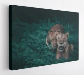 obraz-na-plotnie-100x75-m2p-sawanna-04-canvas