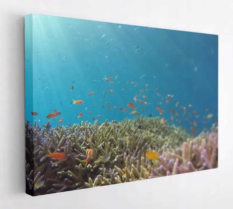 obraz-na-plotnie-60x40m2p-ocean-05-canvas-wzory