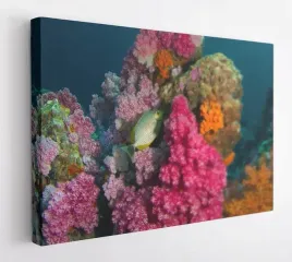obraz-na-plotnie-35x25-m2p-ocean-07-canvas-wzory