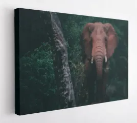 obraz-na-plotnie-100x75-m2p-sawanna-18-canvas