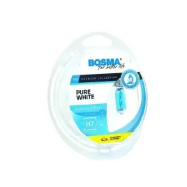 komplet-zarowek-h7-pure-white-12v-55w-px26d