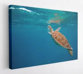 obraz-na-plotnie-100x75-m2p-ocean-03-canvas-wzory