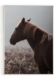plakat-a4-21x30-w-ramie-m2p-konie-16