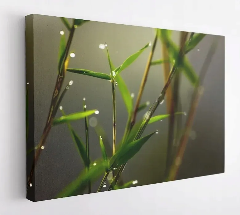 obraz-na-plotnie-100x75-m2p-rosliny-09-canvas