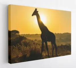 obraz-na-plotnie-100x75-m2p-sawanna-12-canvas