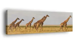 obraz-na-plotnie-145x45-m2p-sawanna-09-canvas