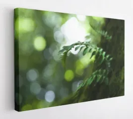 obraz-na-plotnie-100x75-m2p-rosliny-10-canvas