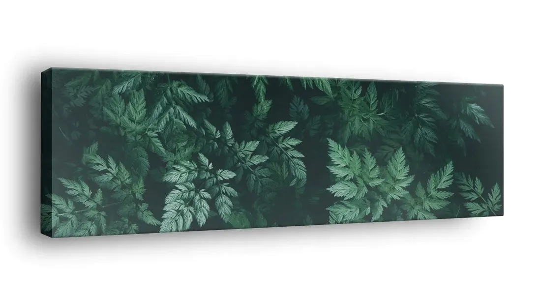 obraz-na-plotnie-145x45-m2p-rosliny-15-canvas
