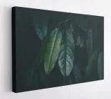 obraz-na-plotnie-100x75-m2p-rosliny-18-canvas