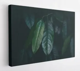 obraz-na-plotnie-100x75-m2p-rosliny-18-canvas