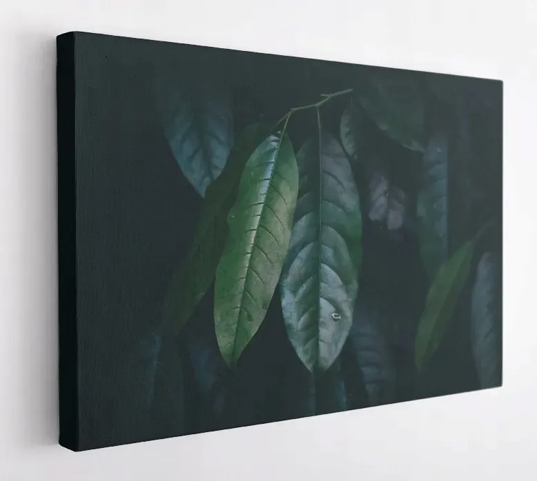 obraz-na-plotnie-100x75-m2p-rosliny-18-canvas
