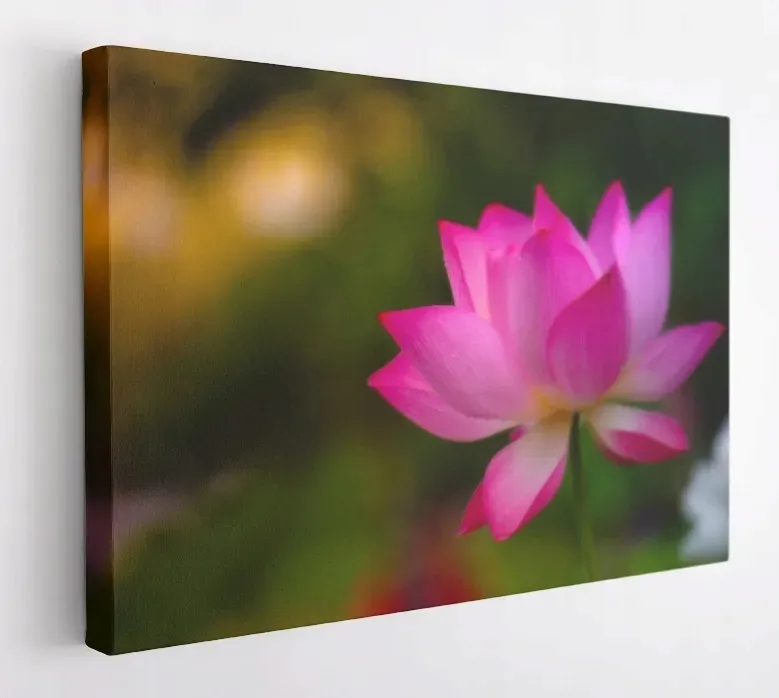 obraz-na-plotnie-100x75-m2p-rosliny-20-canvas