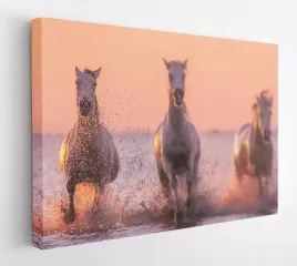 obraz-na-plotnie-100x75-m2p-konie-01-canvas-wzory