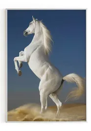plakat-a4-21x30-w-ramie-m2p-konie-14