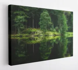obraz-na-plotnie-100x75-m2p-las-05-canvas-wzory