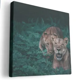 obraz-na-plotnie-40x40-m2p-sawanna-04-canvas-wzory