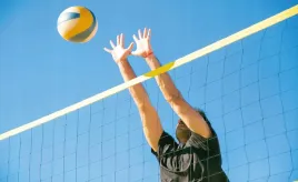 fototapeta-dmp-siatkowka-05-254x184