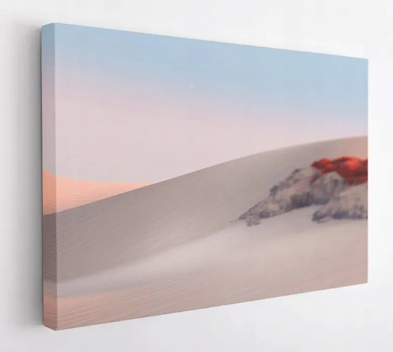 obraz-na-plotnie-100x75-m2p-pustynia-04-canvas