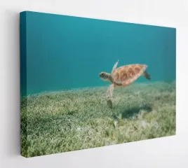 obraz-na-plotnie-100x75-m2p-ocean-02-canvas-wzory