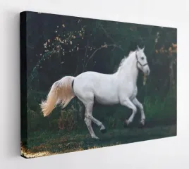 obraz-na-plotnie-100x75-m2p-konie-03-canvas-wzory