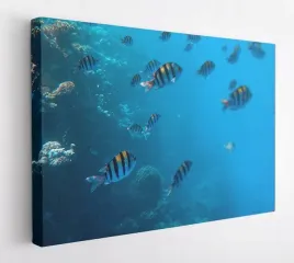obraz-na-plotnie-100x75-m2p-ocean-09-canvas-wzory