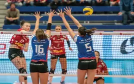 fototapeta-dmp-siatkowka-02-368x254