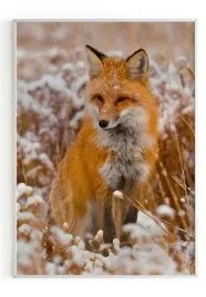 plakat-a4-21x30-w-ramie-m2p-lis-03