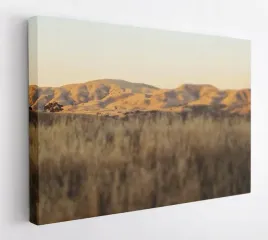 obraz-na-plotnie-100x75-m2p-sawanna-05-canvas