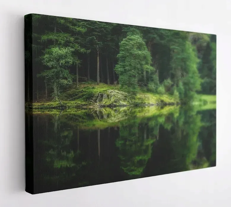 obraz-na-plotnie-60x40m2p-las-05-canvas-wzory