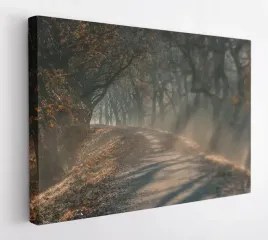 obraz-na-plotnie-100x75-m2p-las-08-canvas-wzory