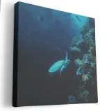 obraz-na-plotnie-80x80-m2p-ocean-04-canvas-wzory