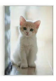 plakat-a3-30x40-w-ramie-m2p-kot-02