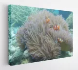 obraz-na-plotnie-80x60-m2p-ocean-13-canvas-wzory