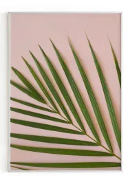 plakat-bez-ramy-a5-13x18-m2p-palma-01