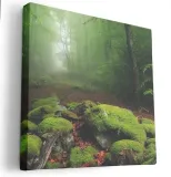 obraz-na-plotnie-80x80-m2p-las-07-canvas-wzory